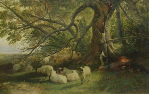 Hvilende flokk, 1863